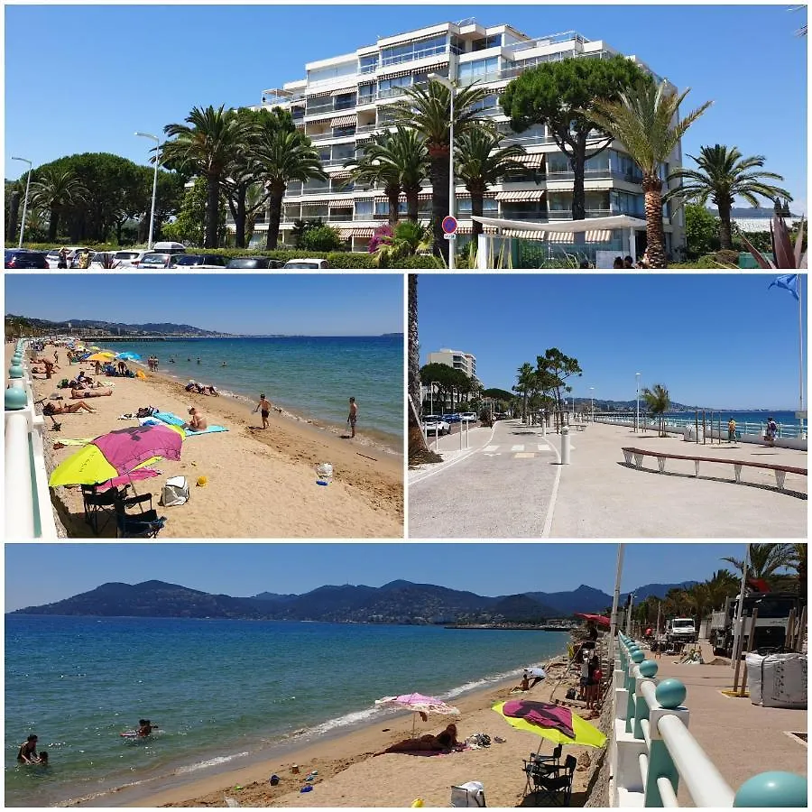 Garden And Beach Sea View Apartment Cannes location