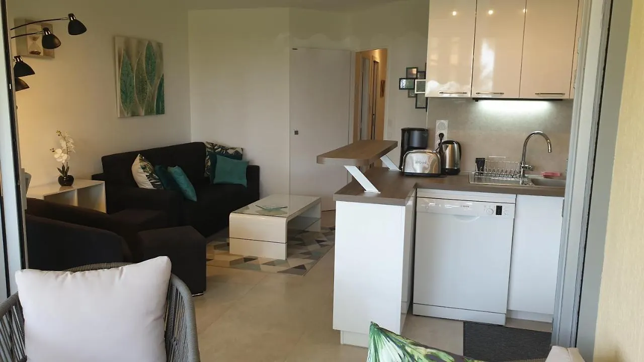 Garden And Beach Sea View Apartment Cannes