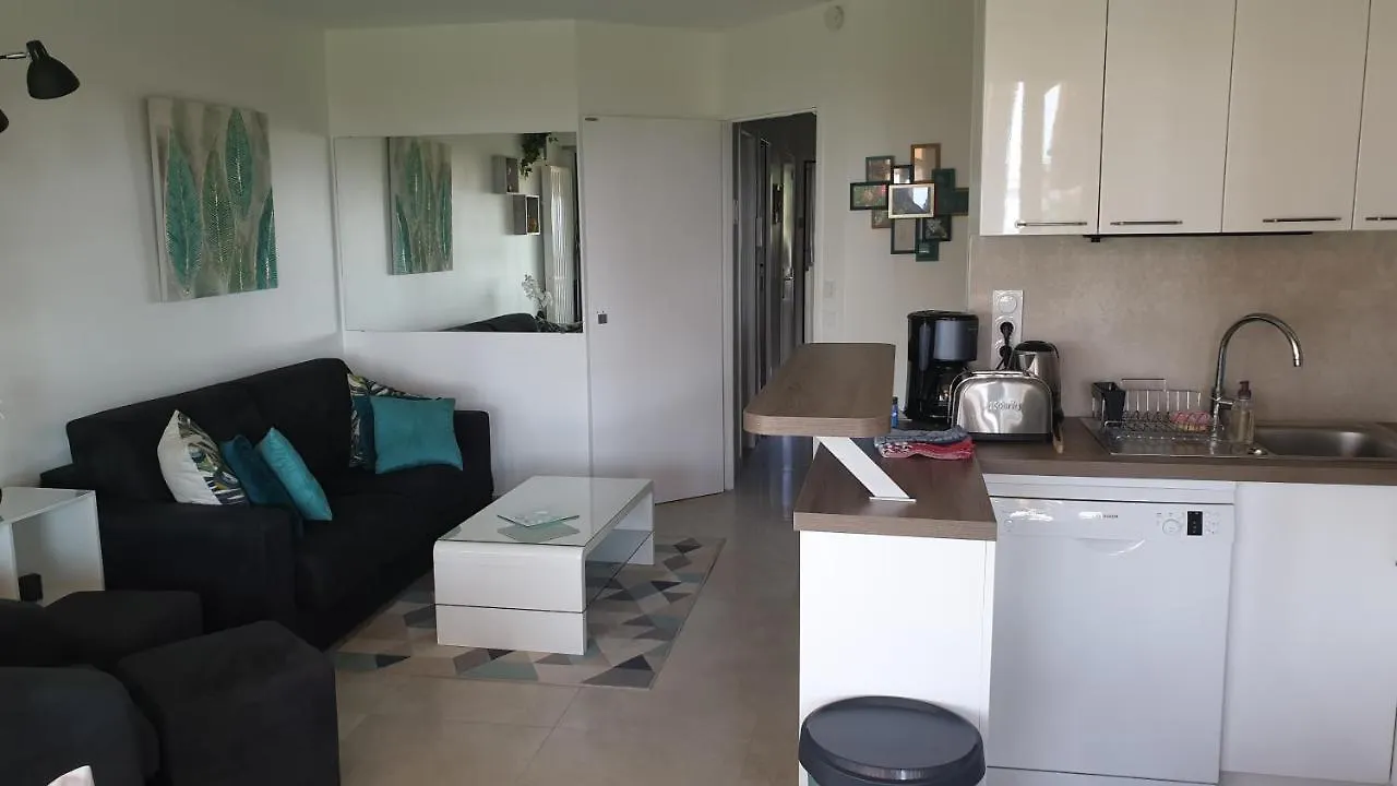 Garden And Beach Sea View Apartment Cannes 0*,