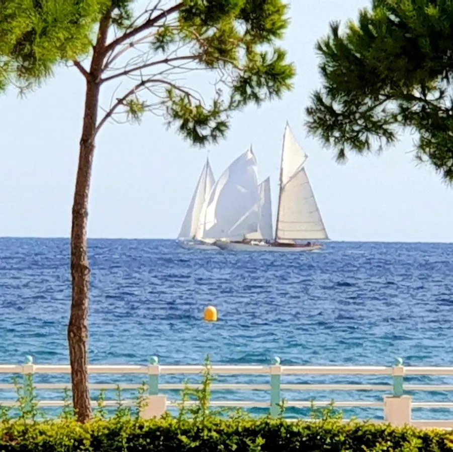 Garden And Beach Sea View Apartment Cannes