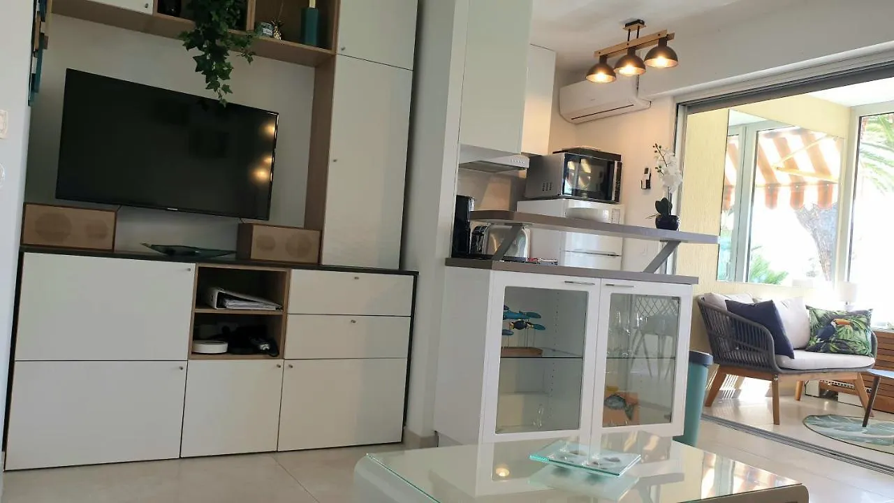 Garden&beach sea view apartment Cannes 0*,