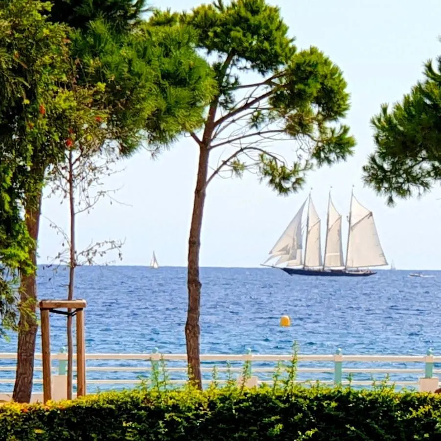 Garden&beach sea view apartment Cannes